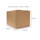 Plain Carton Box - Double Wall - CPF02